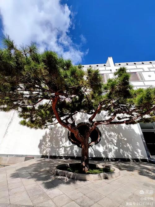 香山公园附近的酒店