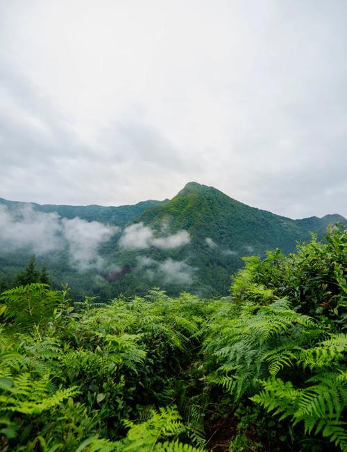 洪雅周边旅游景点大全