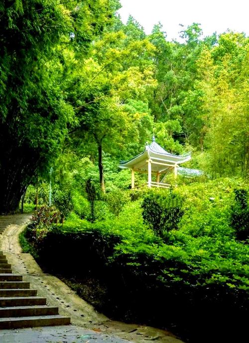 深圳竹子林有哪些景点