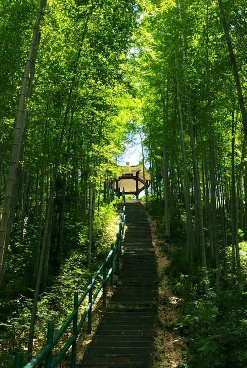 深圳竹子林有哪些景点