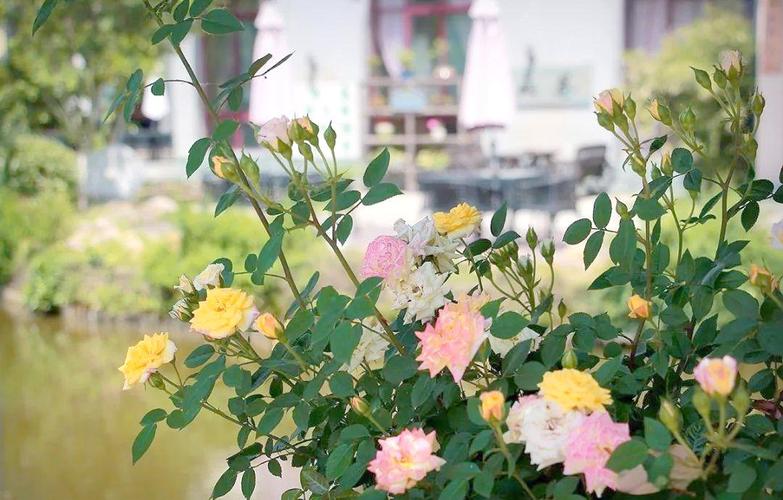 九华山水街度假酒店