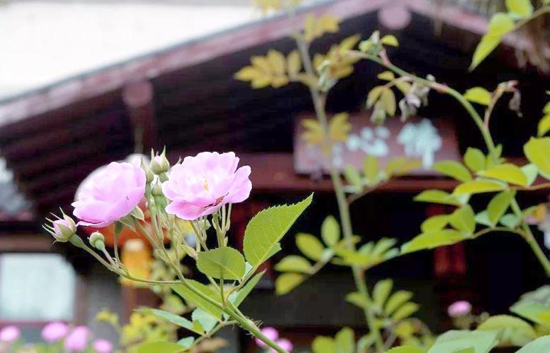 九华山水街度假酒店