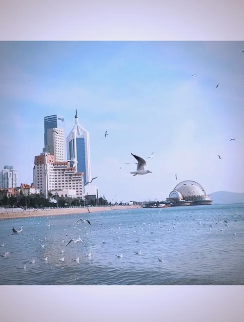 青岛的景点有哪些地方