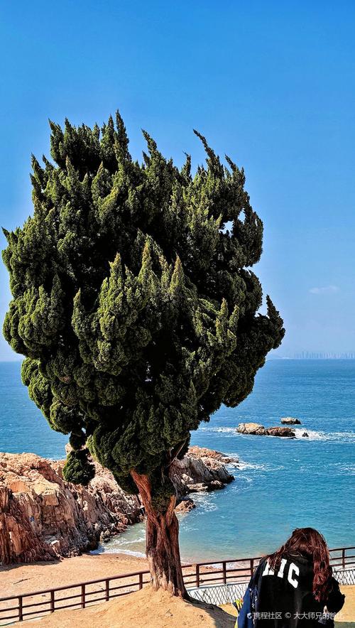 青岛周边带孩子自驾游