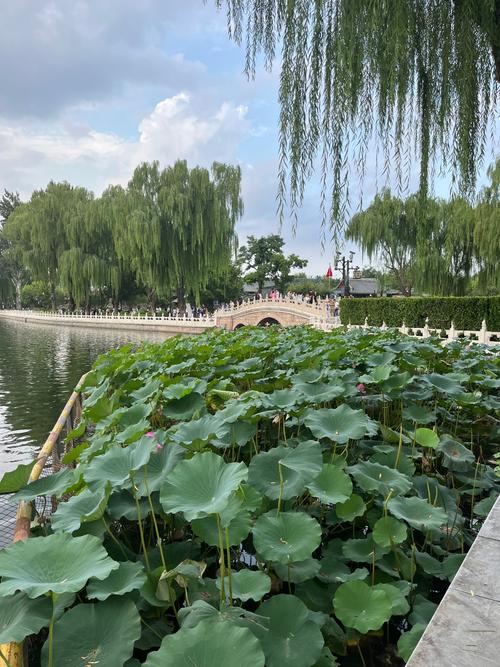 夏季适合去的旅游景点