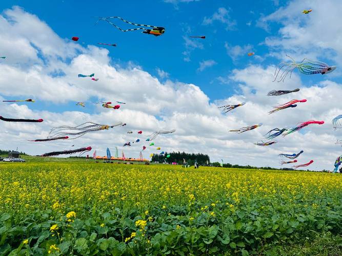 康平周边旅游景点大全