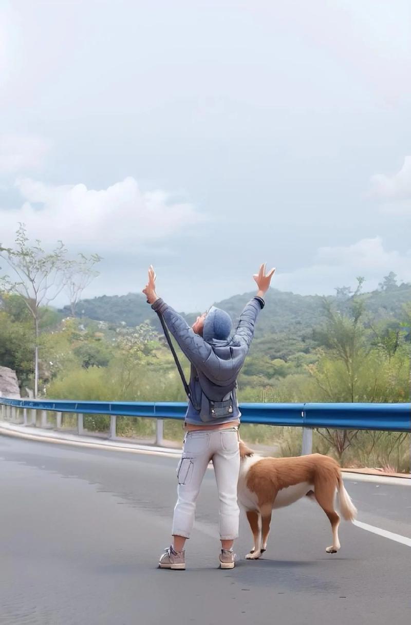 自驾游带着金毛去旅行