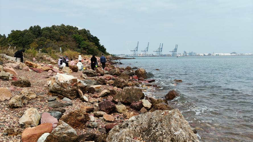 惠州小桂湾的所有景点