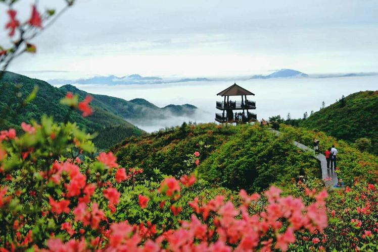 离浏阳近的好玩的景点