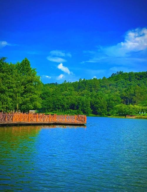 大夫山森林公园自驾游