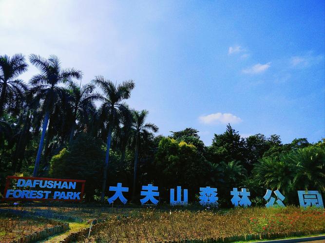 大夫山森林公园自驾游