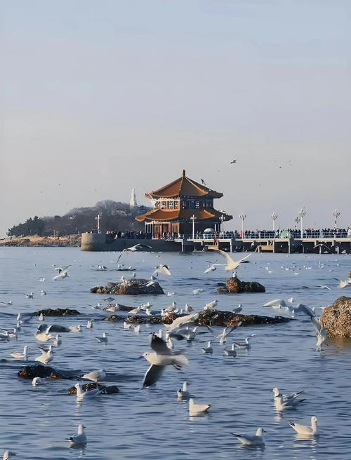 青岛必玩的景点有哪些