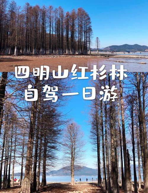 宁波免费的自驾游景点