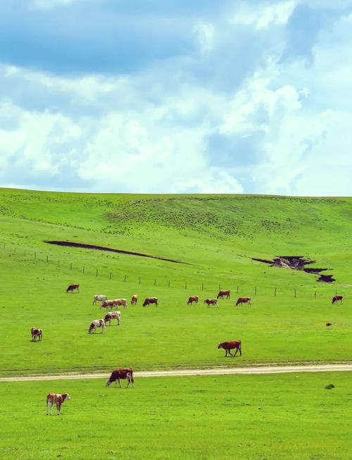 唐山去坝上草原自驾游