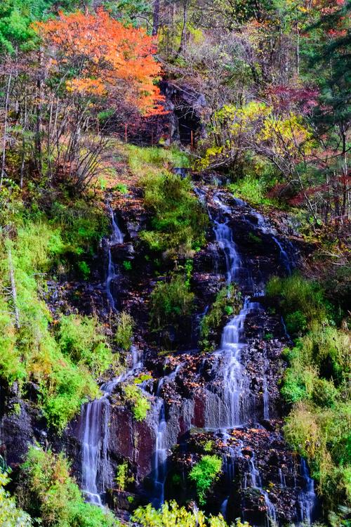 长白县十五道沟自驾游