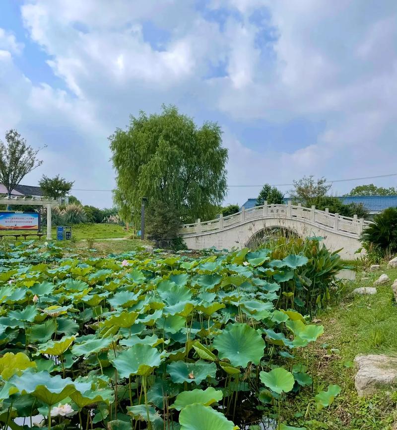 上海航头镇有哪些景点