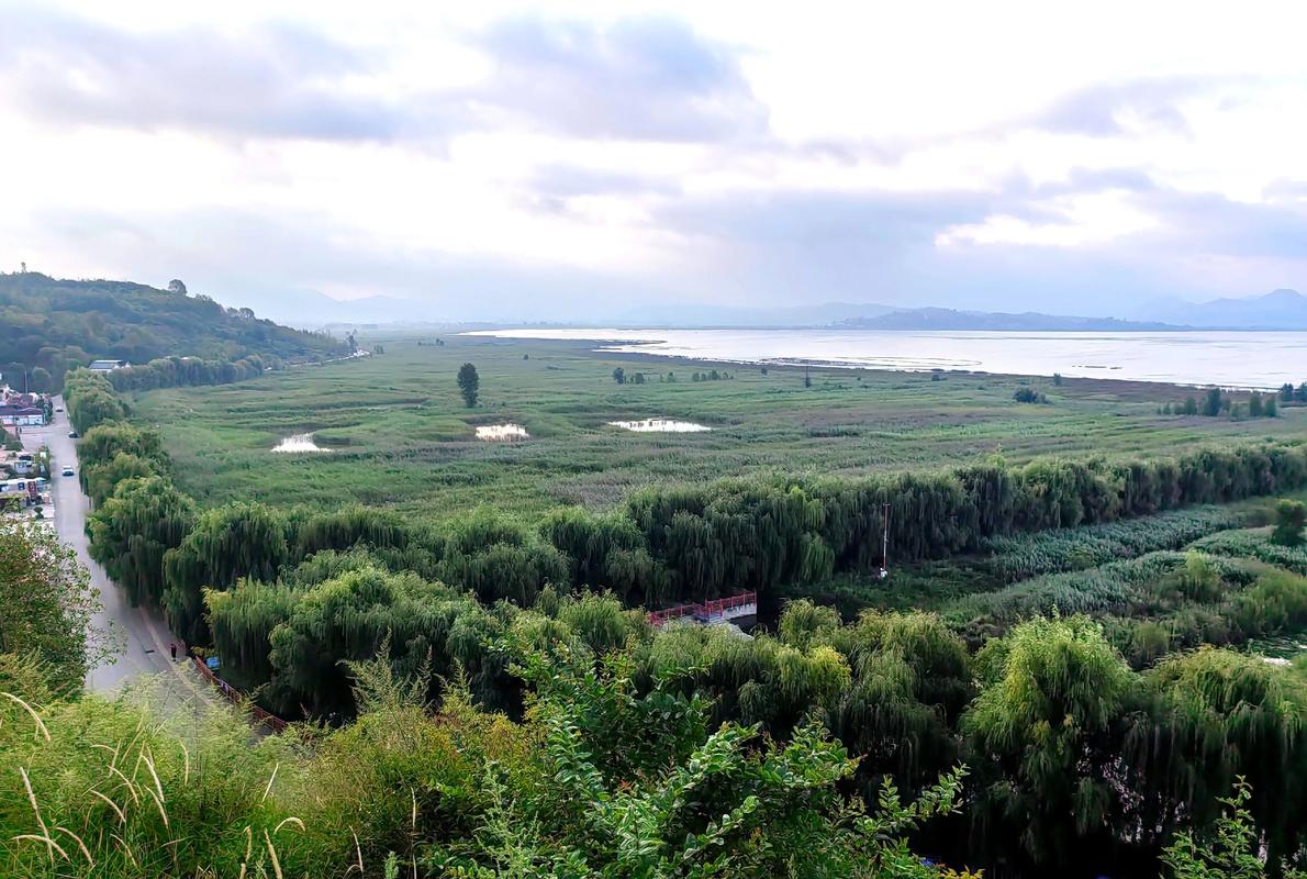 毕节草海旅游景点在哪