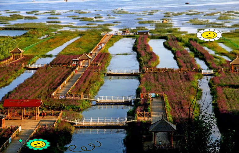 毕节草海旅游景点在哪