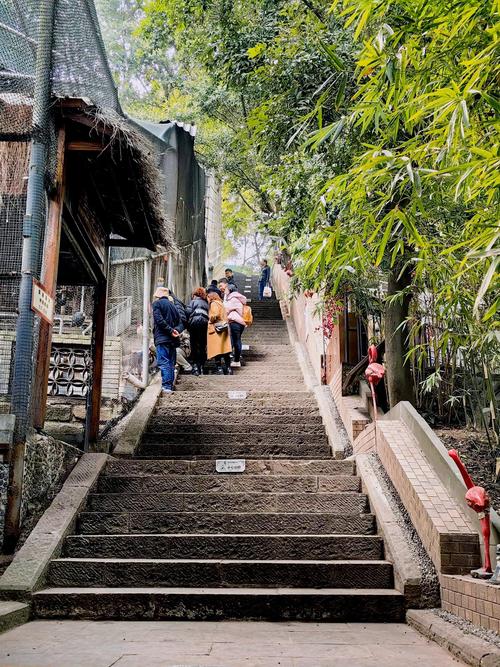 从重庆出发自驾游冷门