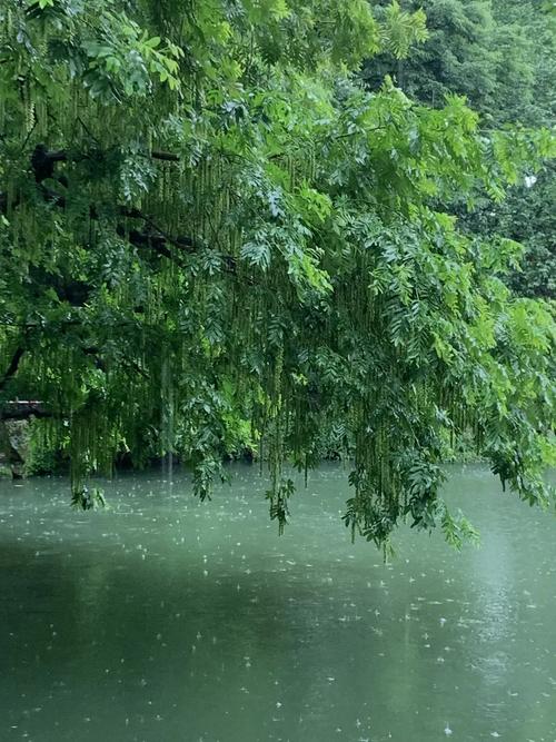 下雨天自驾游景点推荐
