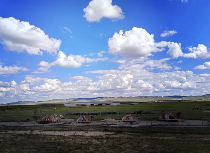 青岛十一到草原自驾游