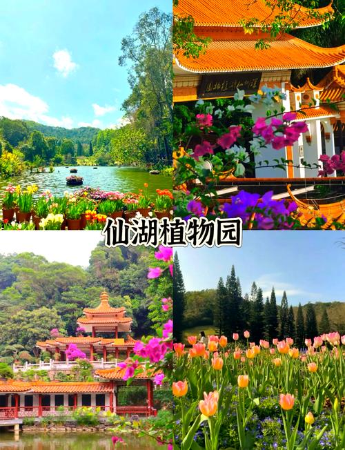 深圳罗湖区有什么景点