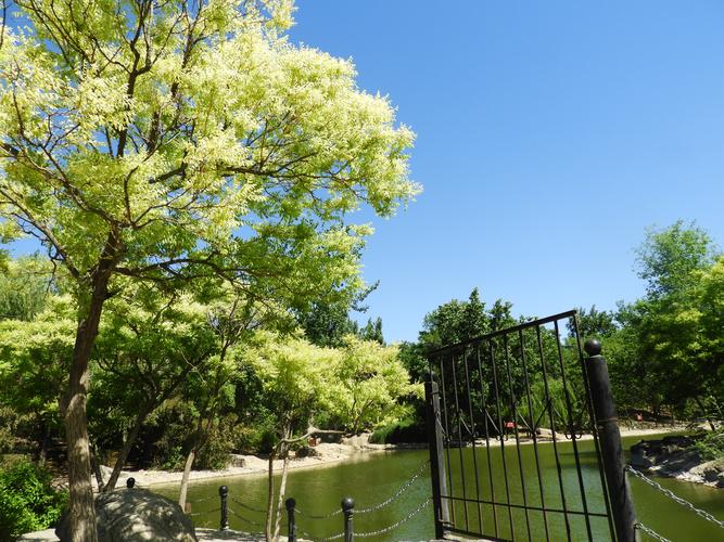 天通苑附近有什么景点