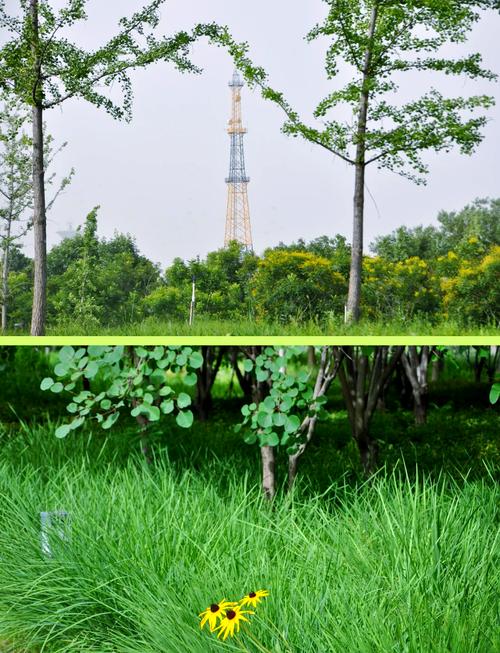 天通苑附近有什么景点