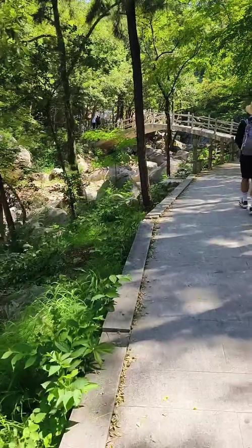 平邑县自驾游免费景点