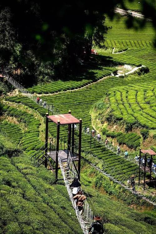 宣恩旅游景景点五家台