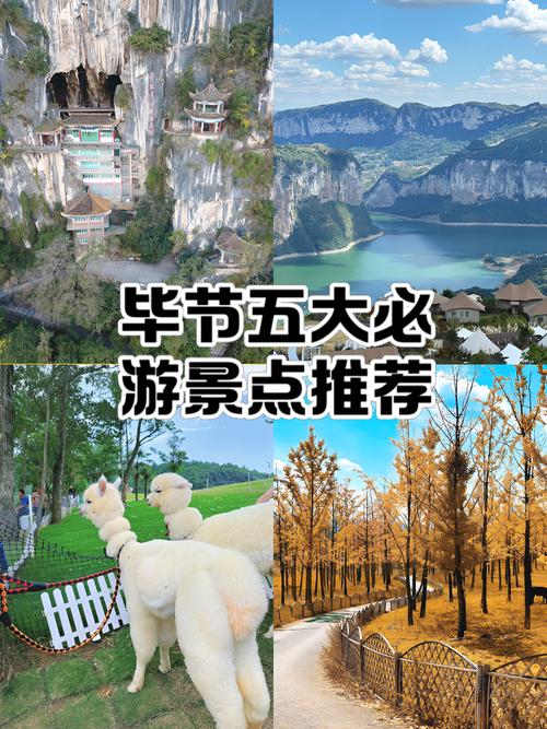 8月毕节旅游景点大全