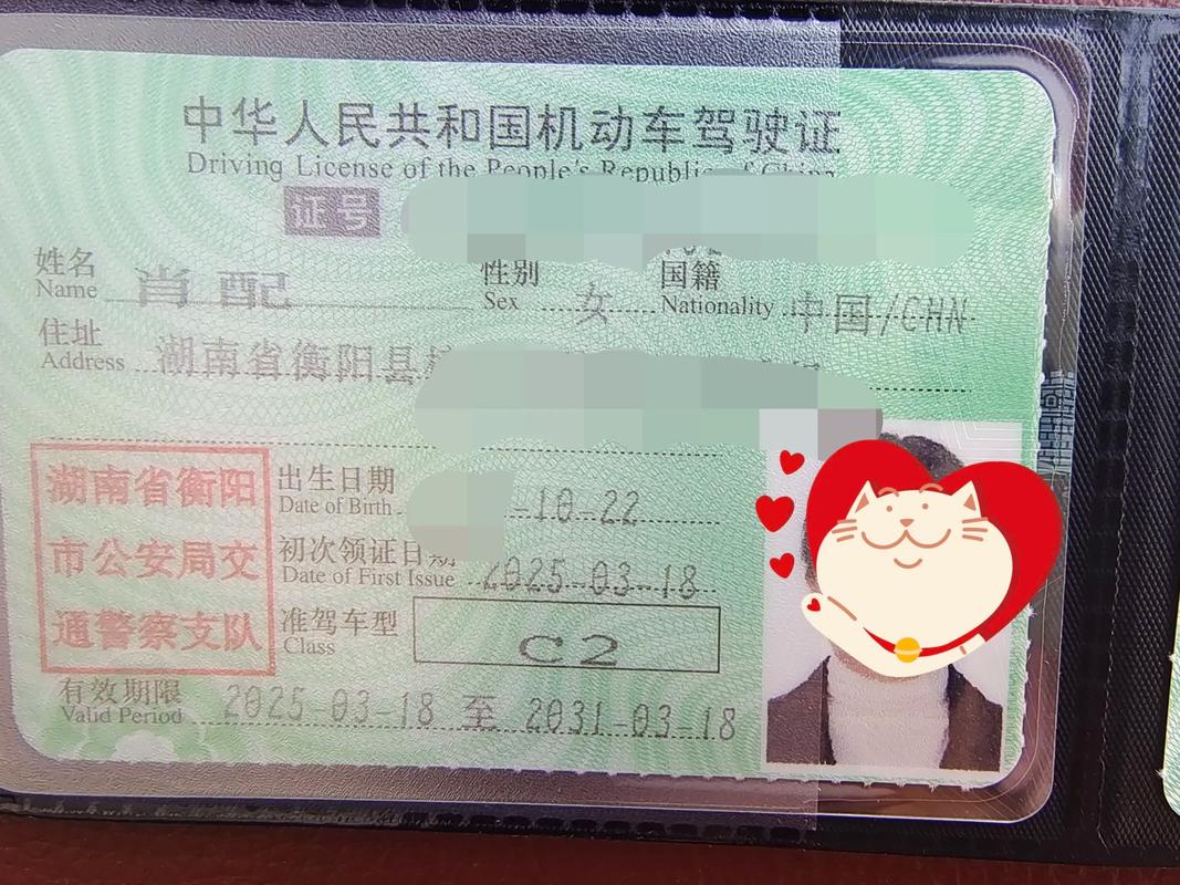 波士顿自驾游中国驾照