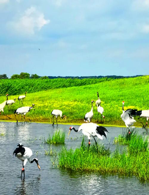 齐齐哈尔十大旅游景点
