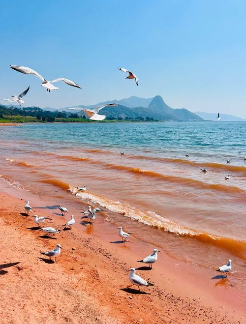 抚仙湖周围的旅游景点