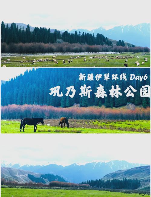 库尔勒到巩乃斯自驾游