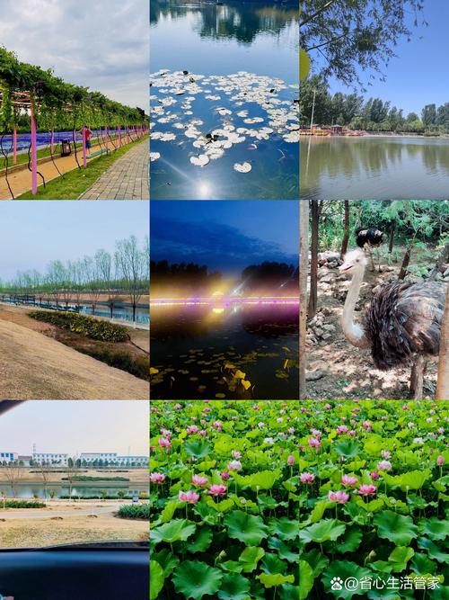 宝丰景点哪个比较好玩