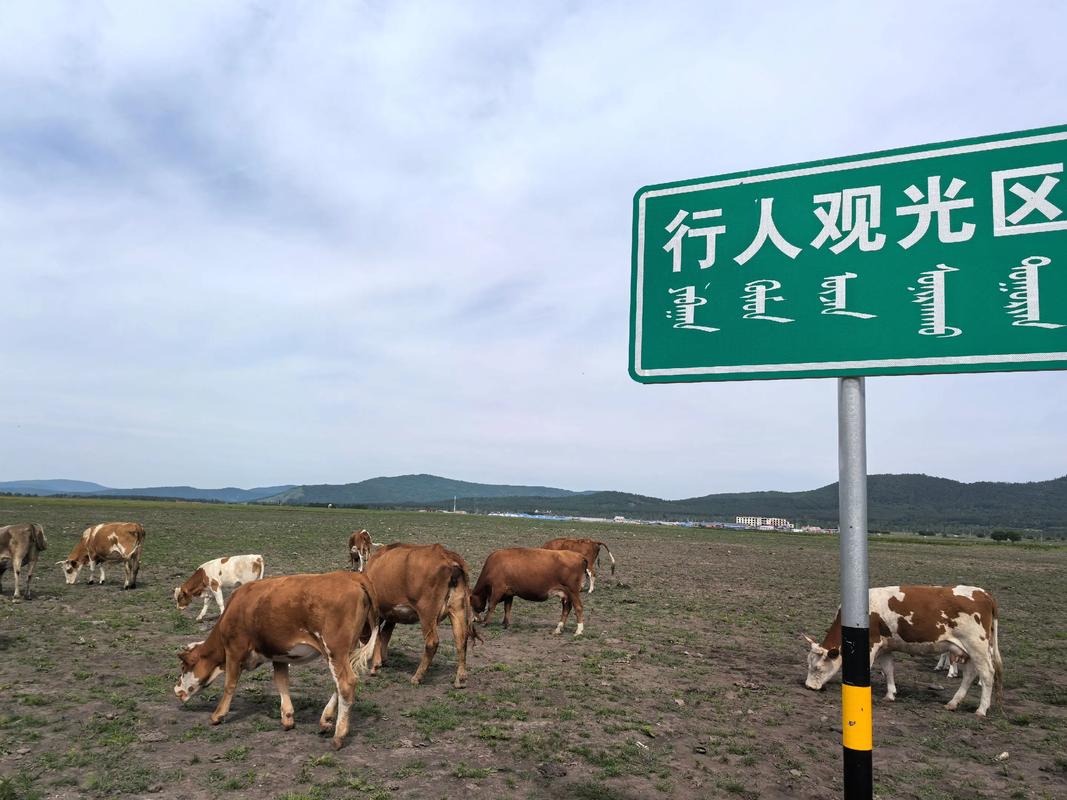 阿尔山到满洲里自驾游