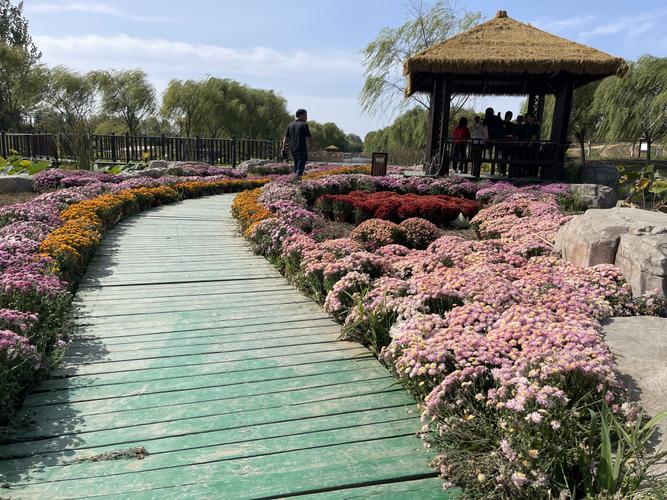 武清周边旅游景点大全