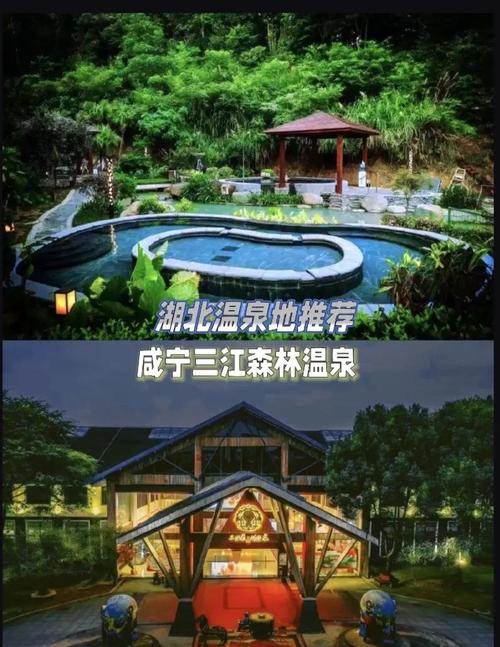 咸宁温泉酒店哪个好