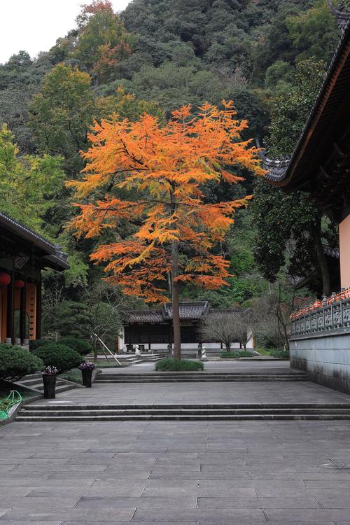 浙江诸暨有啥旅游景点