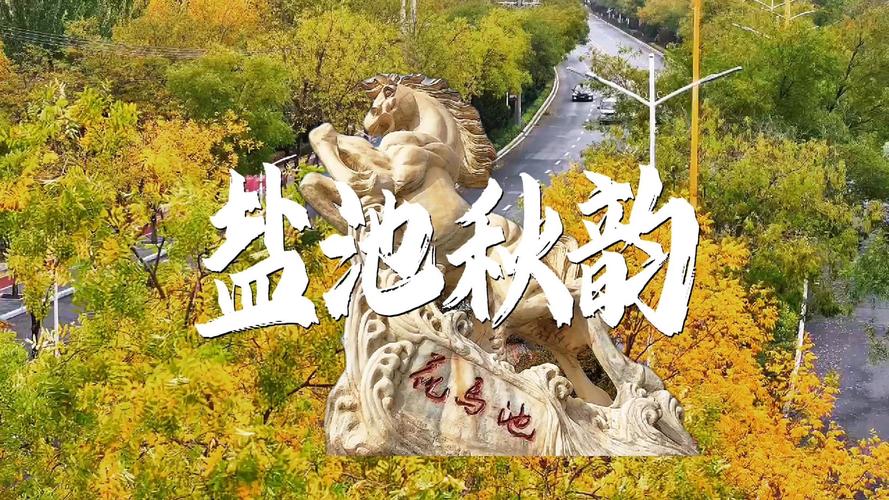 盐池周边旅游景点大全