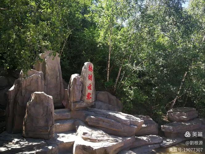 卓资山大榆树旅游景点