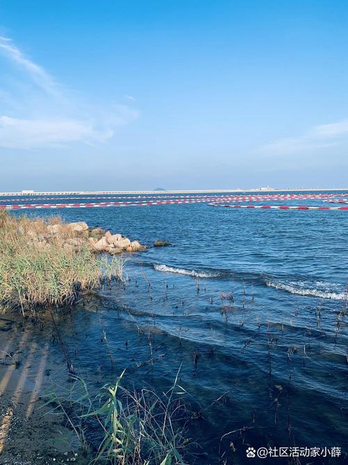 上海周边自驾游崇明岛