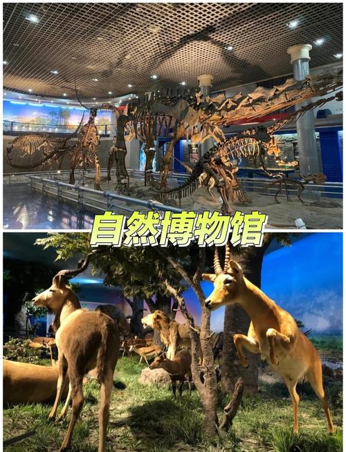 北京旅游室内景点推荐