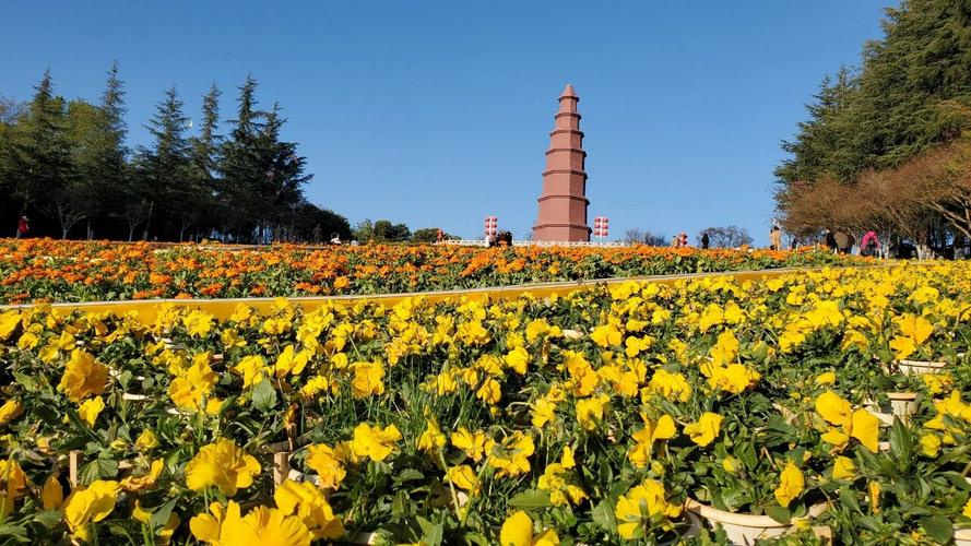 玉溪市区旅游景点大全