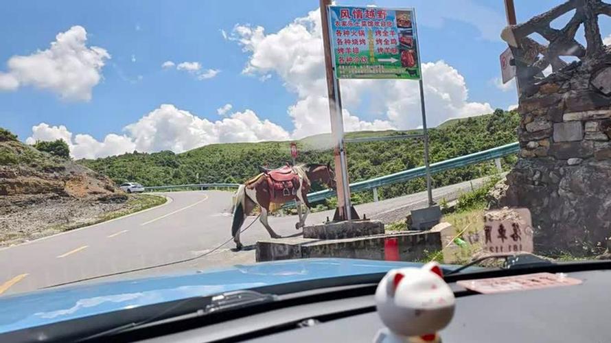 成都至贵州自驾游四天