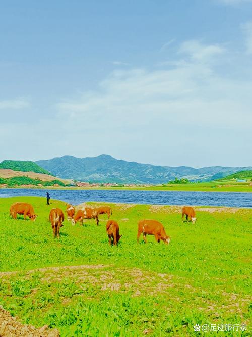 吉林到坝上草原自驾游