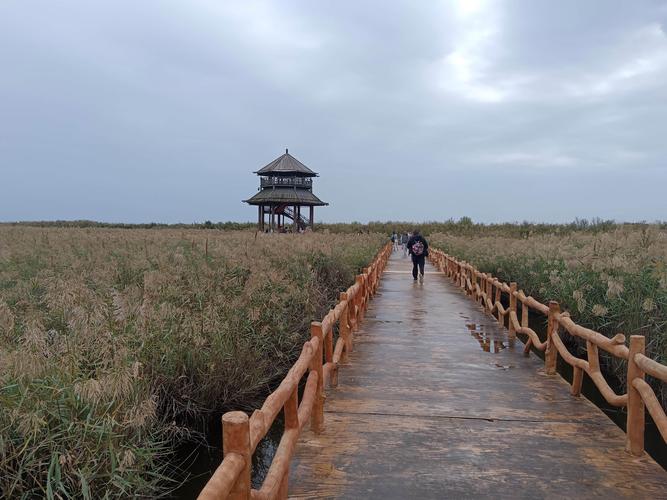 东营自驾周边旅游景点