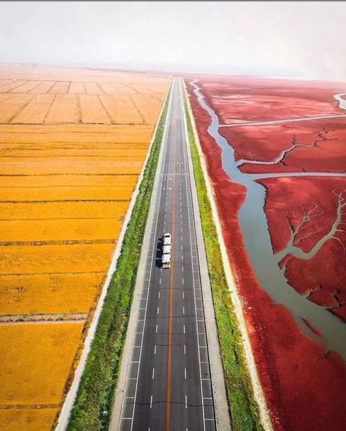 盘锦红海滩能自驾游吗