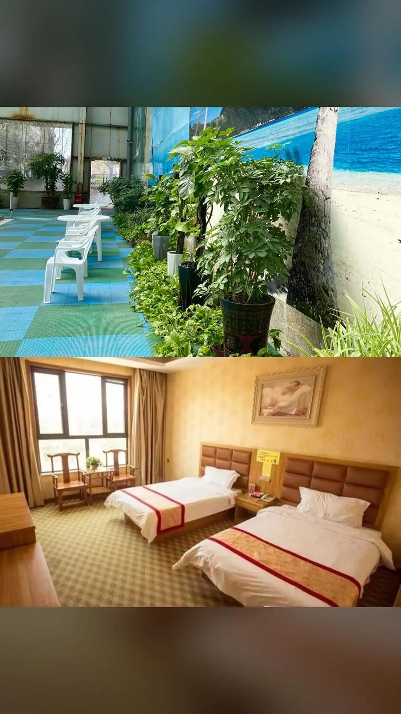 平舆温泉大酒店电话